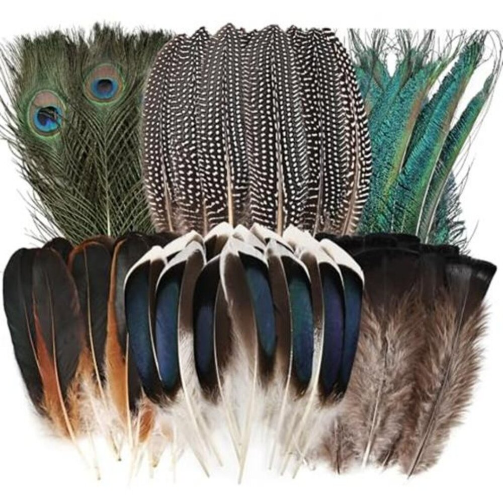 Feathers 50pcs Natural Feathers Bulk-6 Style Mixed Decorative Spotted